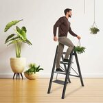 Corvids India Kitchen Ladder: Safe and Stylish for Every Task is being swapped online for free