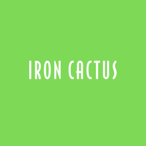 ironcactus is swapping clothes online from 