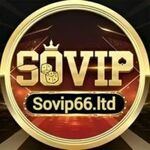 sovip66ltd is swapping clothes online from 