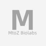 mtozbiolabs is swapping clothes online from 