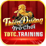 tdtctraining is swapping clothes online from 