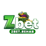 zbetrehab is swapping clothes online from 