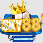 SKY88 is swapping clothes online from 