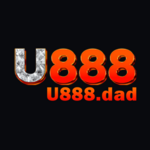 u888dad is swapping clothes online from 