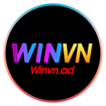 WINVN  is swapping clothes online from 